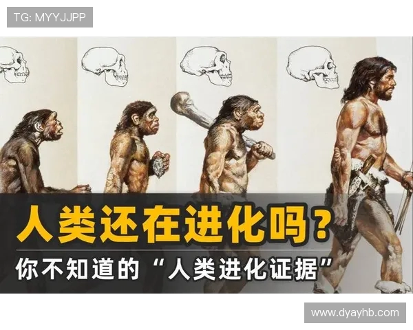 巴西猿人与松恩视频的精彩对决揭示人类进化的奥秘与争议